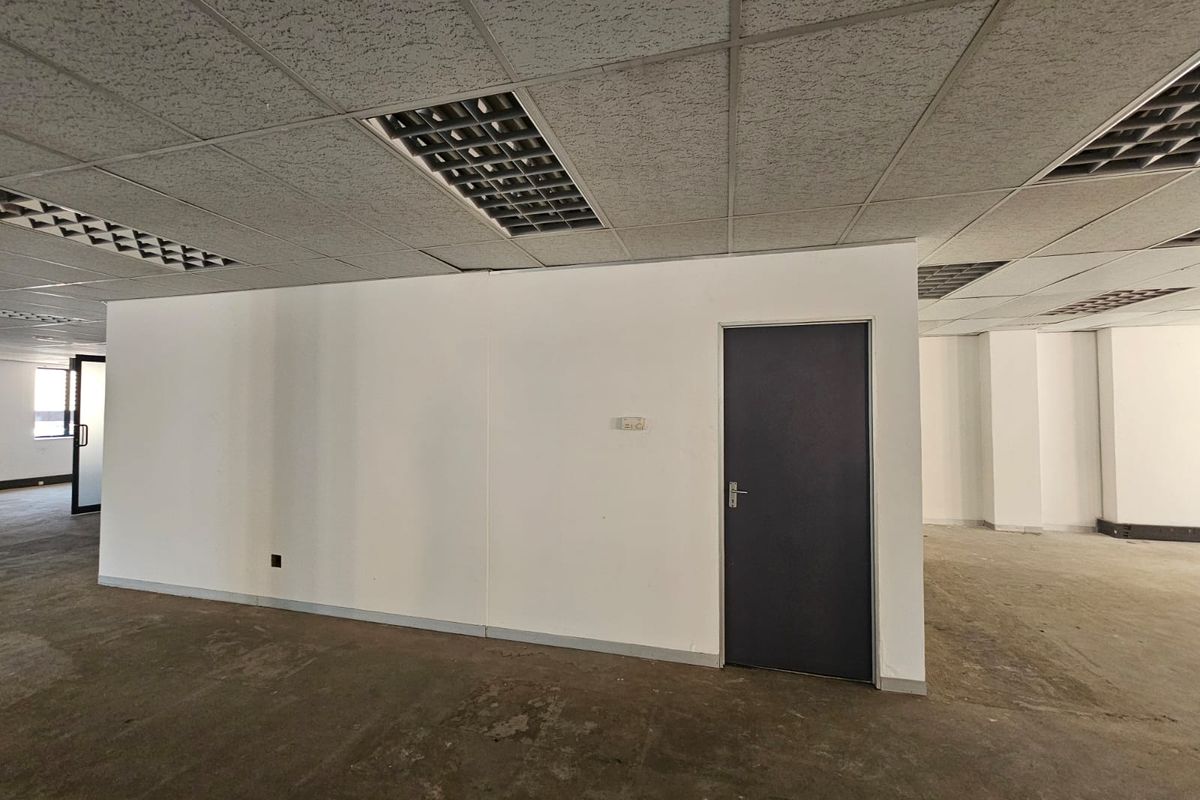 An empty, open-plan office space featuring a suspended ceiling with recessed lighting and a neutral interior finish, ready for custom fit-out.