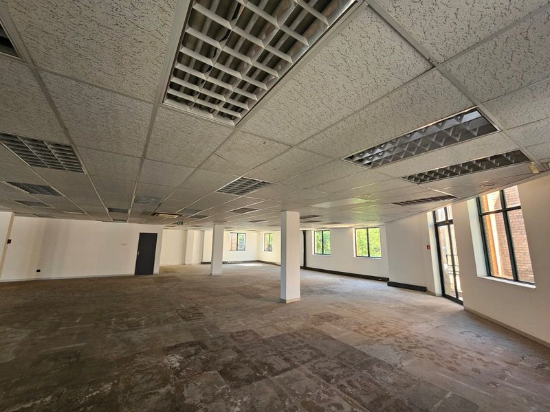 Spacious open-plan office area featuring a suspended ceiling with recessed lighting, structural columns, and large windows providing ample natural light.