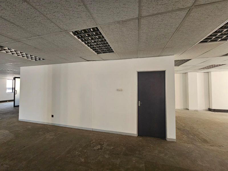 An empty, open-plan office space featuring a suspended ceiling with recessed lighting and a neutral interior finish, ready for custom fit-out.
