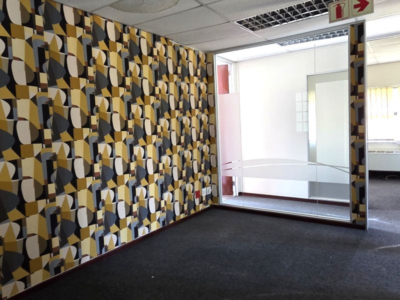 An empty office space featuring a bold patterned accent wall, glass partitioning, suspended ceiling with recessed lighting, and carpeted flooring.