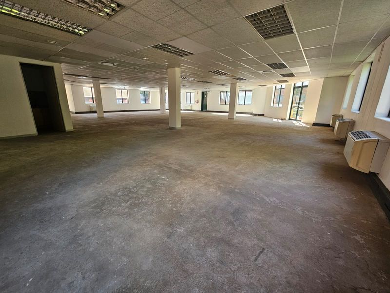 TO LET | Prime Office Space I ±442 m2 I Glen Manor Office Park, Menlyn - Photo 10