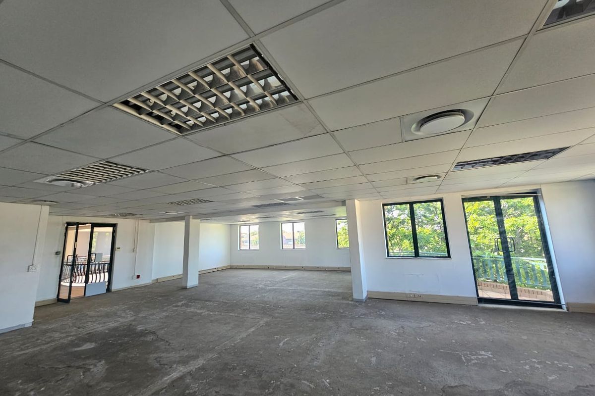 Spacious open-plan office area featuring a suspended ceiling with recessed lighting, large windows, and an unfinished concrete floor ready for custom flooring installation.