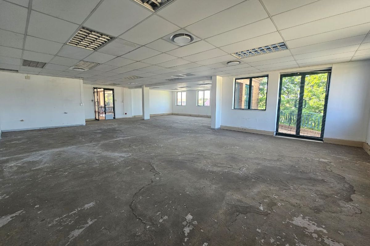 Spacious open-plan office area featuring a suspended ceiling, recessed lighting, and large windows providing natural light and balcony access.