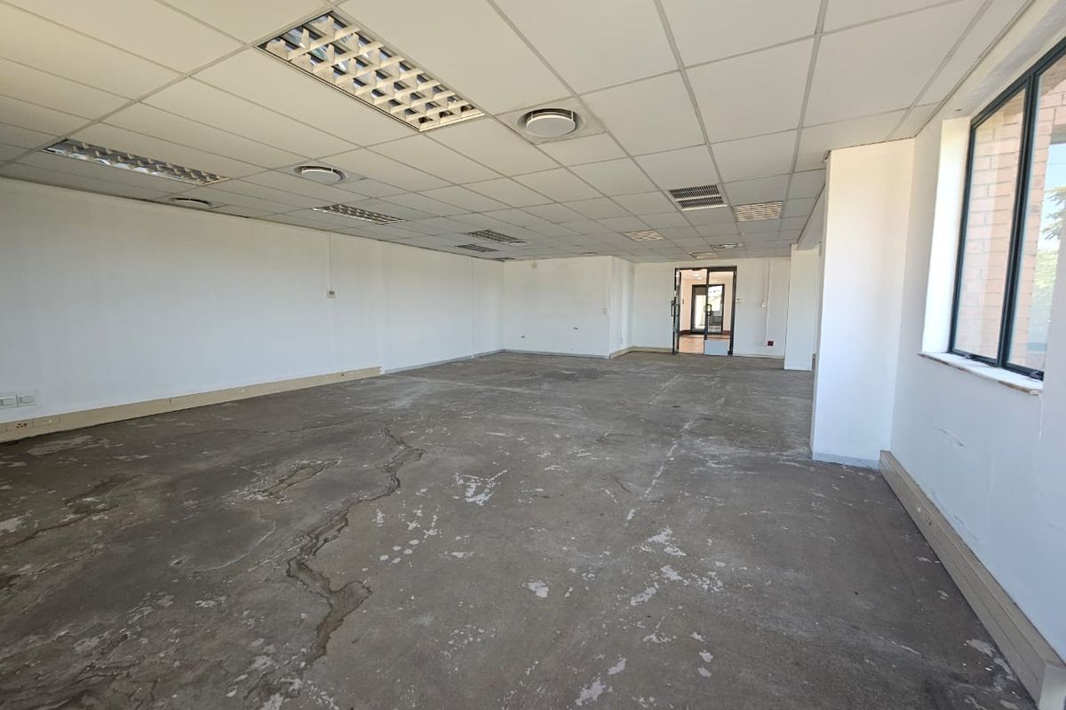 An empty, open-plan office space featuring a suspended ceiling with recessed lighting and large windows, requiring flooring and wall finish updates.