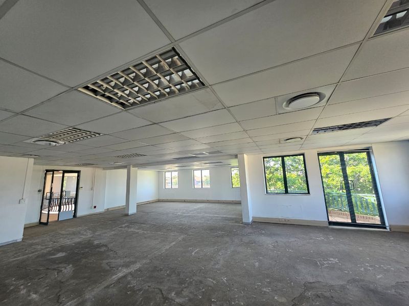 Spacious open-plan office area featuring a suspended ceiling with recessed lighting, large windows, and an unfinished concrete floor ready for custom flooring installation.