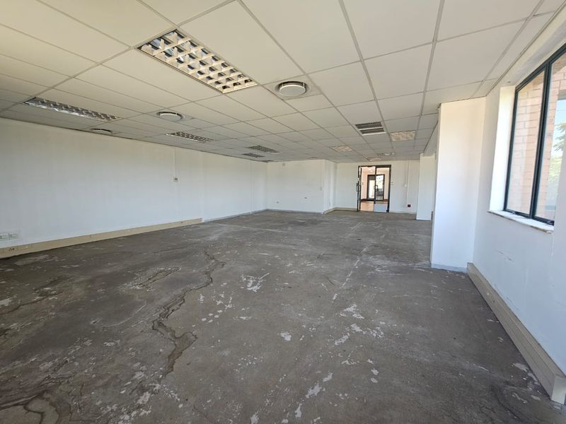 An empty, open-plan office space featuring a suspended ceiling with recessed lighting and large windows, requiring flooring and wall finish updates.