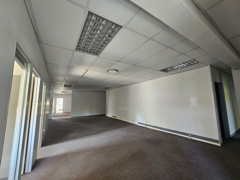 An empty, open-plan office space featuring a suspended ceiling with recessed lighting and carpeted flooring, suitable for a professional workspace layout.