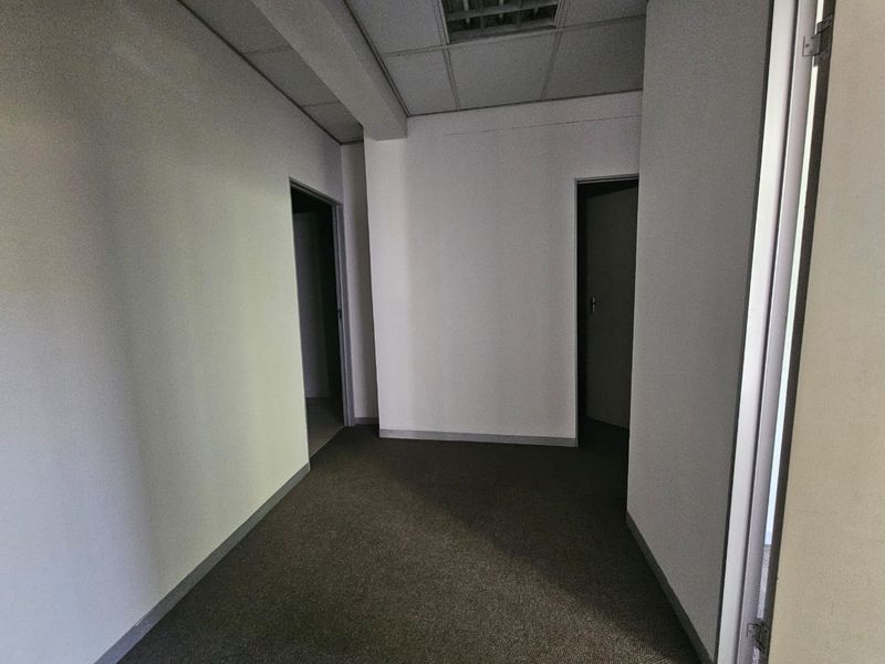 A vacant office hallway featuring neutral walls, carpeted flooring, and a suspended ceiling with integrated lighting.