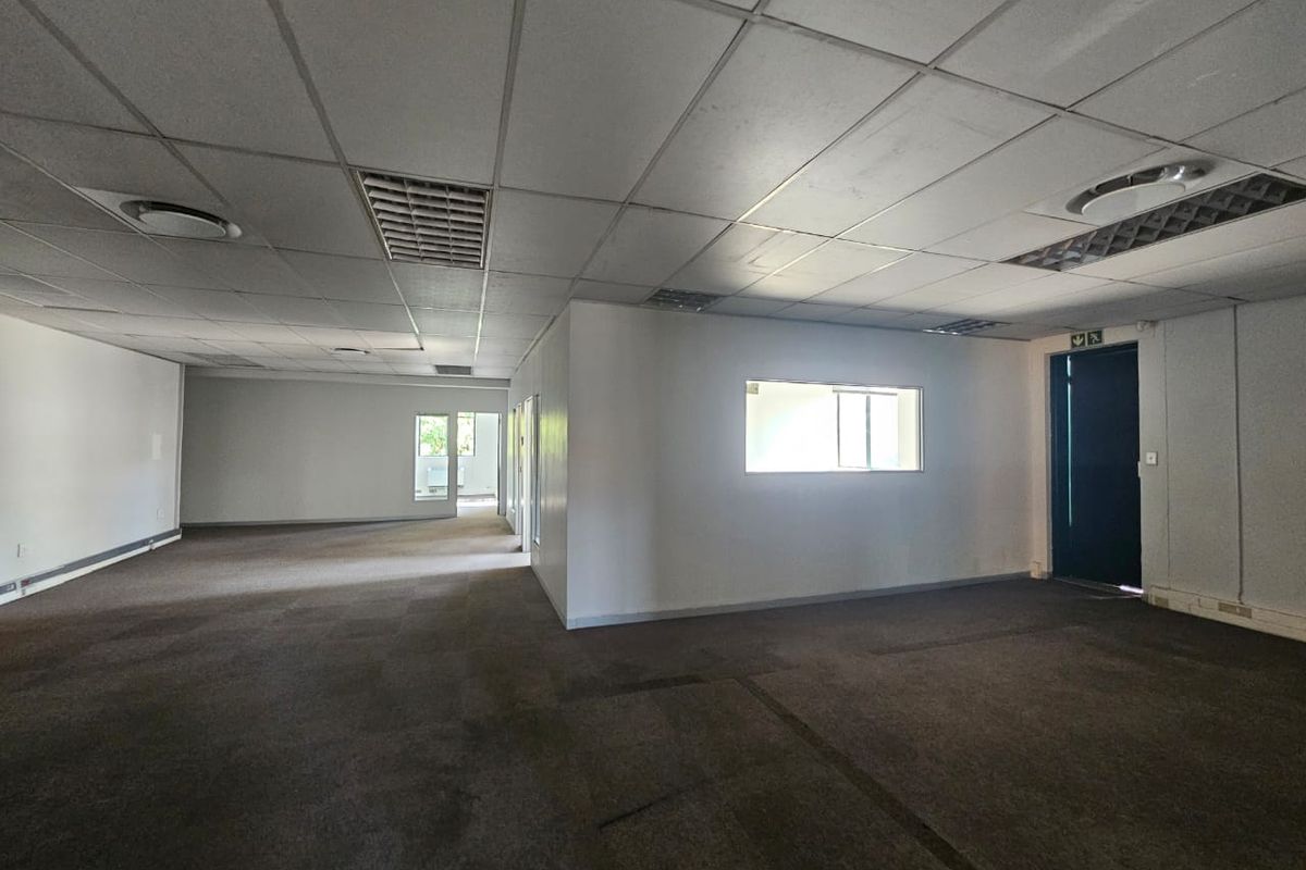 Spacious, vacant open-plan office area featuring a suspended ceiling, recessed lighting, and carpeted flooring, suitable for a variety of business configurations.