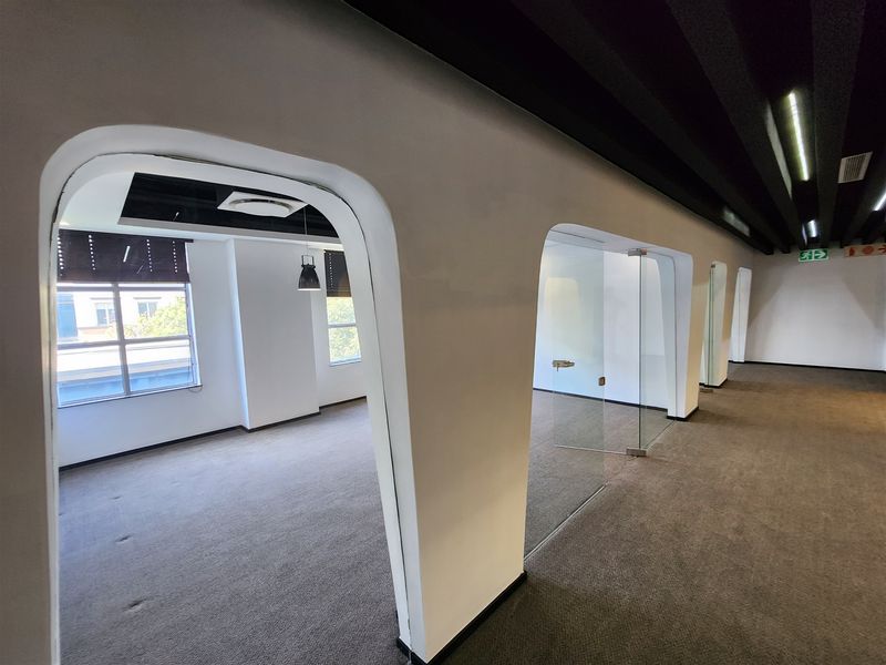 Modern office space featuring glass partitions, carpeted flooring, and distinctive black acoustic ceiling baffles, providing a professional and open work environment.