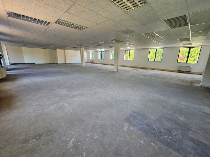 A large, open-plan office space featuring a suspended ceiling, structural columns, and expansive windows, currently vacant and ready for custom fit-out.