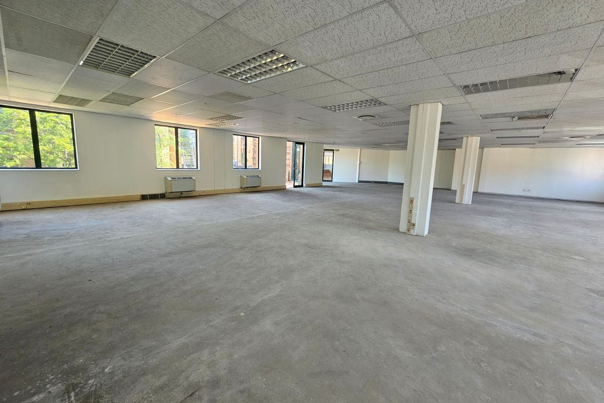 Spacious open-plan office area featuring a suspended ceiling, recessed lighting, structural columns, and large windows providing ample natural light.