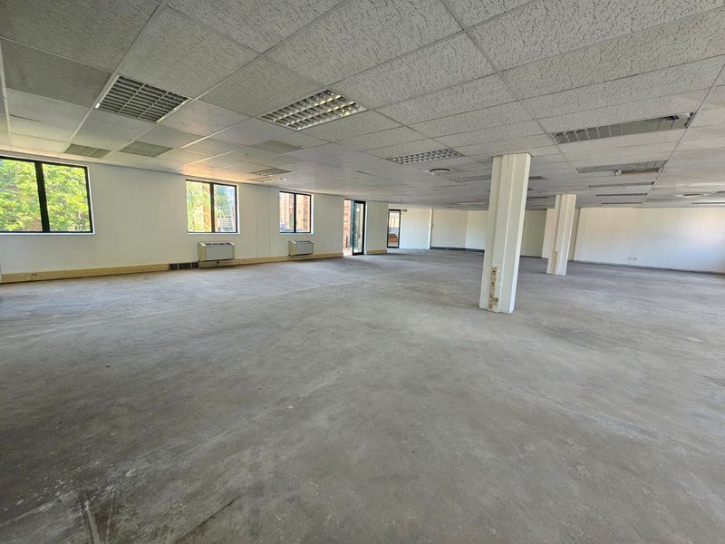 Spacious open-plan office area featuring a suspended ceiling, recessed lighting, structural columns, and large windows providing ample natural light.