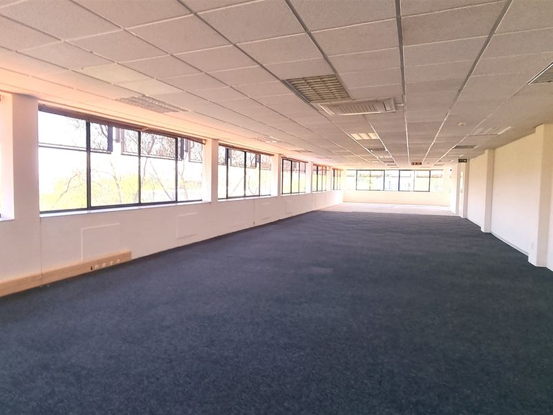 A spacious, open-plan office area featuring large windows, a suspended ceiling with recessed lighting, and carpeted flooring.