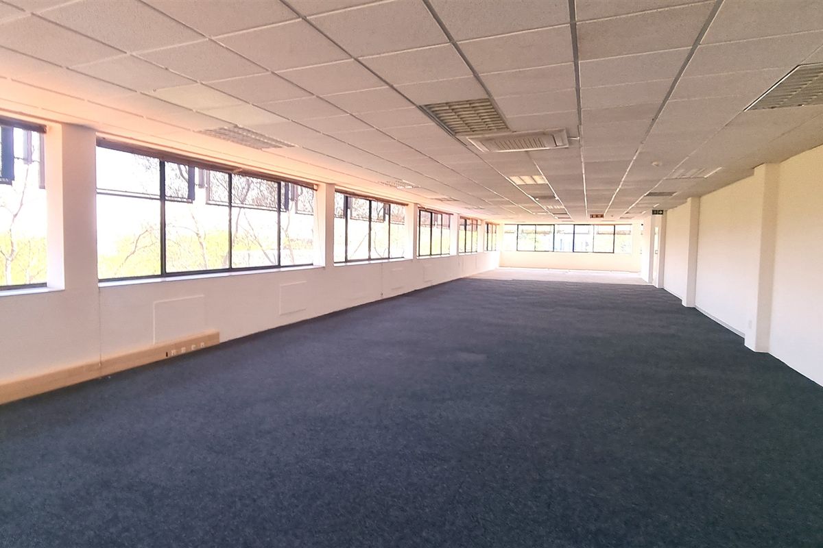 A spacious, open-plan office area featuring large windows, a suspended ceiling with recessed lighting, and carpeted flooring.