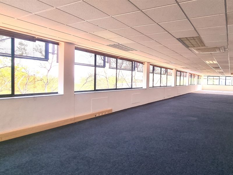A spacious, empty open-plan office area featuring large windows, a suspended ceiling with integrated lighting, and carpeted flooring.