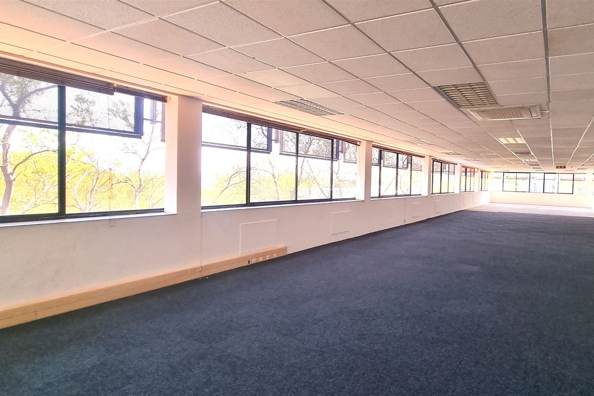 A spacious, empty open-plan office area featuring large windows, a suspended ceiling with integrated lighting, and carpeted flooring.