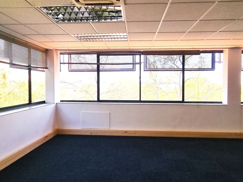 A bright, empty office space featuring a suspended ceiling, recessed lighting, carpeted floors, and large windows with venetian blinds providing ample natural light.