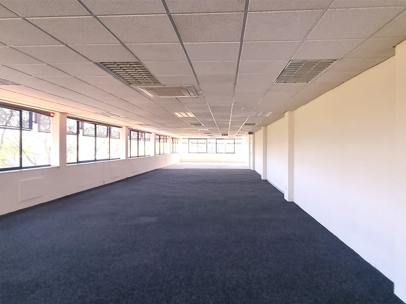 A spacious, empty open-plan office area featuring a suspended ceiling, recessed lighting, large windows providing natural light, and carpeted flooring.