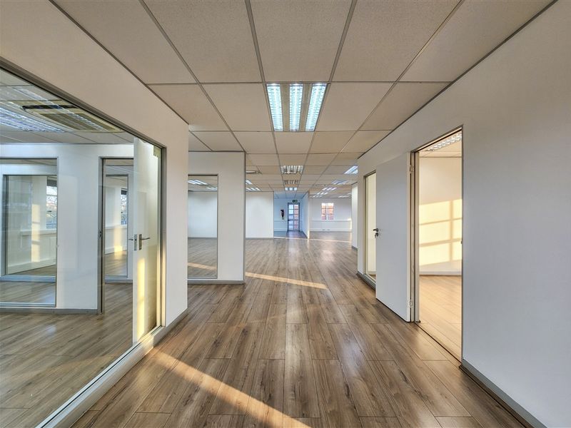 Spacious open-plan office area featuring modern laminate flooring, suspended ceilings with recessed lighting, and glass-partitioned private office rooms.