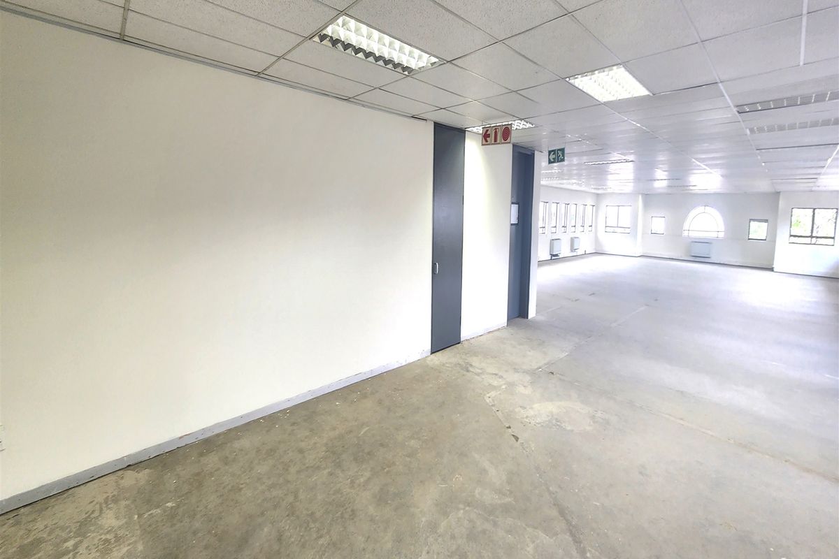 An expansive, vacant open-plan office space featuring a suspended ceiling, recessed lighting, and unfinished concrete flooring, ready for custom fit-out.