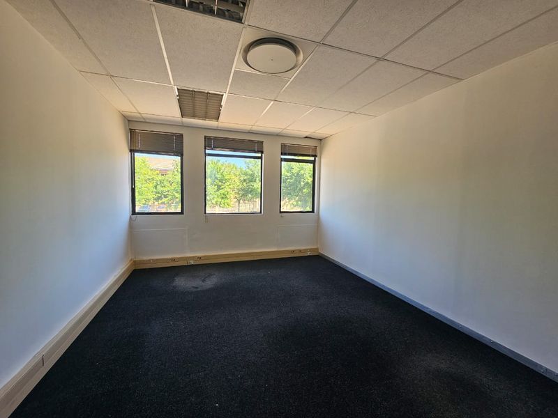 A vacant office space featuring a suspended ceiling, recessed lighting, dark carpeting, and three windows with fitted venetian blinds.
