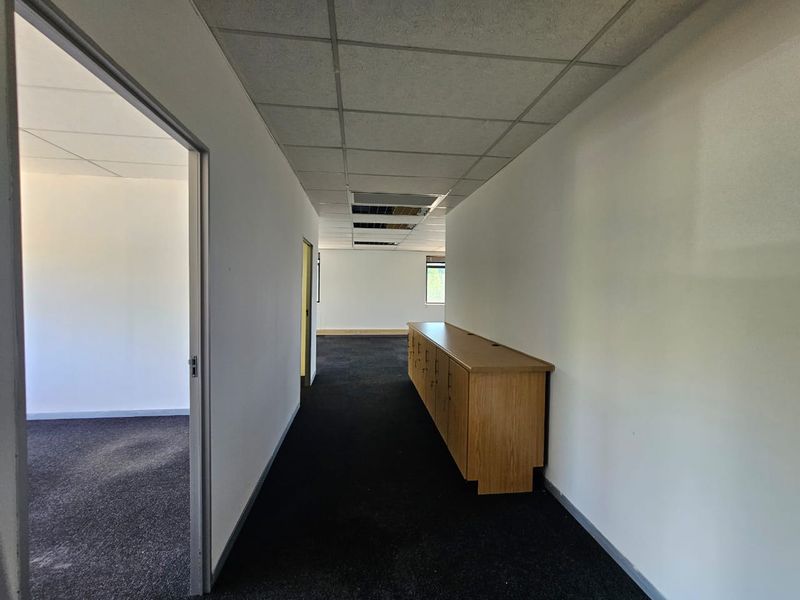 A vacant office hallway featuring a suspended ceiling with missing tiles, dark carpeting, and built-in wooden cabinetry.