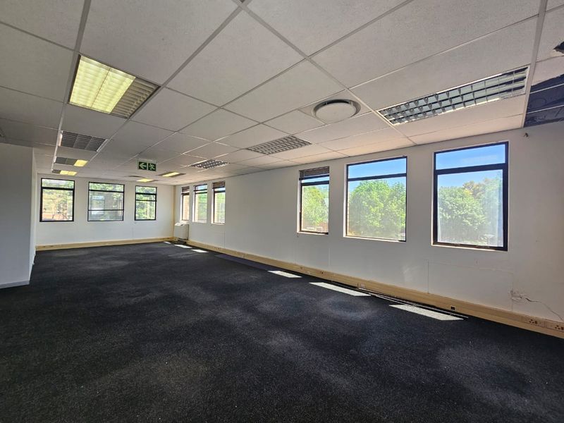 Spacious open-plan office area featuring large windows, suspended ceilings with recessed lighting, and dark carpeting, offering a blank canvas for professional workspace configuration.