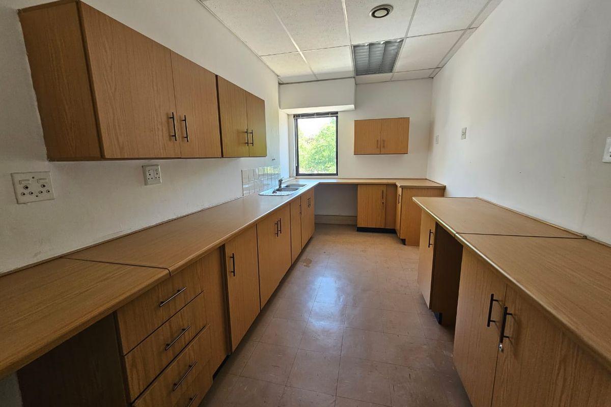 A functional kitchen area featuring extensive laminate cabinetry, ample countertop workspace, a stainless steel sink, and a drop ceiling with integrated lighting.
