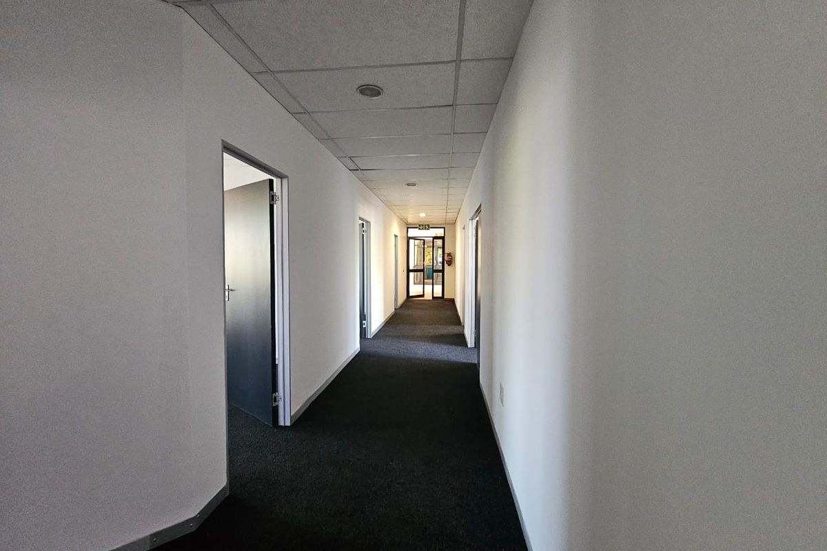 A clean, functional office hallway featuring neutral walls, carpeted flooring, and a suspended ceiling with recessed lighting.