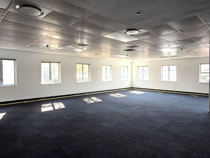 Spacious, open-plan office area featuring a suspended ceiling, recessed lighting, and dark carpet tiles, offering a bright and versatile workspace.