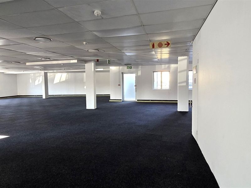 A spacious, open-plan office area featuring a suspended ceiling, recessed lighting, and dark carpeting, providing a versatile workspace ready for custom configuration.