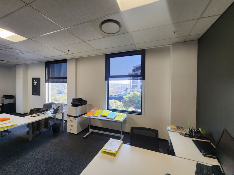 A functional office space featuring suspended ceilings, recessed lighting, carpeted flooring, and large windows with roller blinds providing natural light and exterior views.