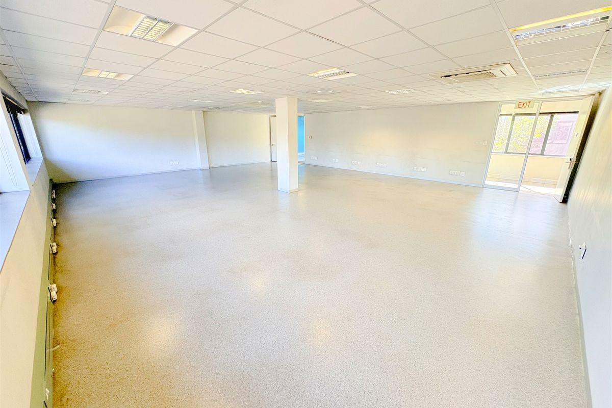 A spacious, open-plan office area featuring a suspended ceiling, recessed lighting, central air conditioning, and durable vinyl flooring.