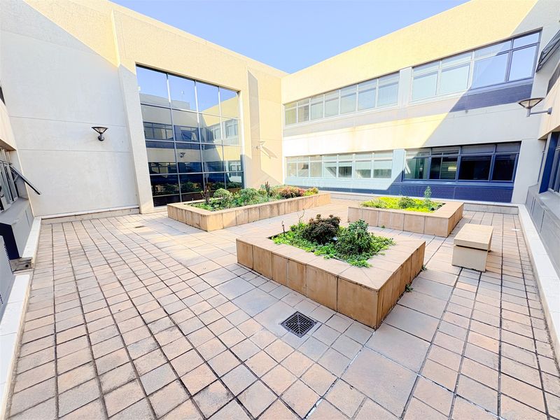 A well-maintained paved office courtyard featuring raised garden beds and large glass facade panels, providing a clean and professional outdoor breakout space.