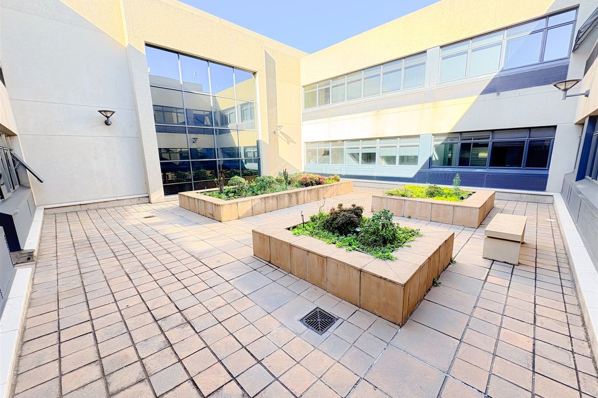 A well-maintained paved office courtyard featuring raised garden beds and large glass facade panels, providing a clean and professional outdoor breakout space.