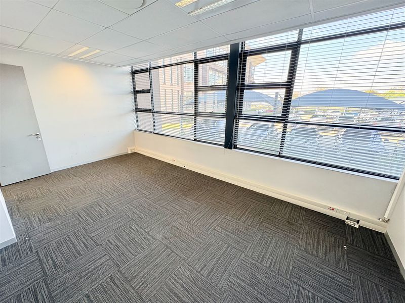 A bright, vacant office space featuring carpet tiles, a suspended ceiling with recessed lighting, and large windows with fitted venetian blinds.
