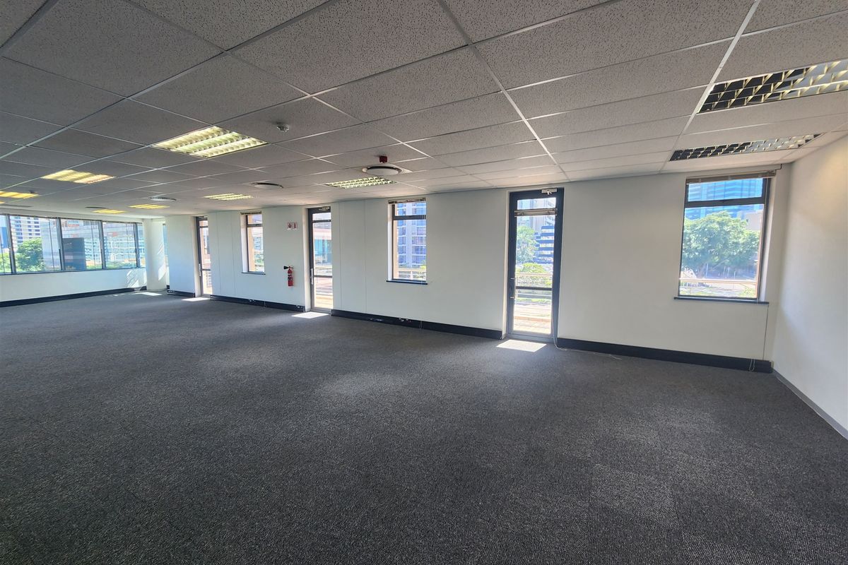 Spacious, open-plan office area featuring neutral carpeting, suspended ceilings with recessed lighting, and multiple windows providing ample natural light and city views.