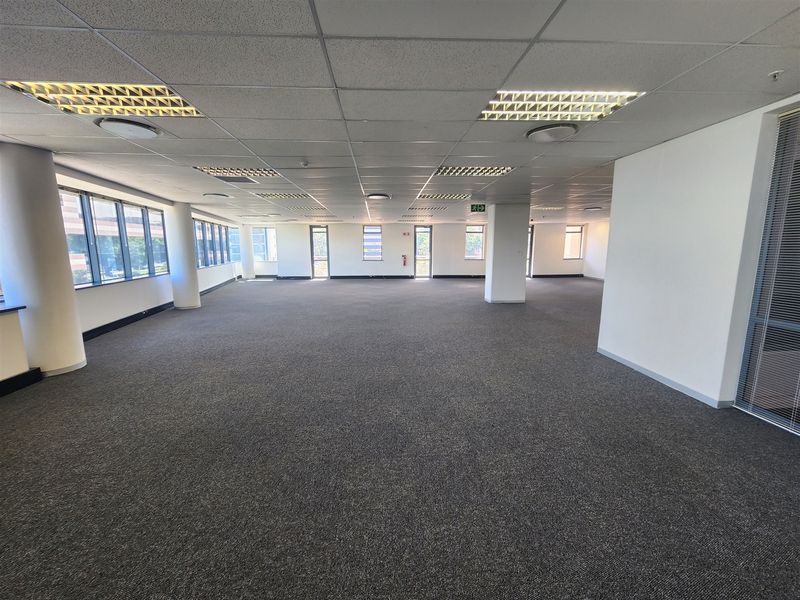 A spacious, open-plan office area featuring neutral carpeting, suspended ceilings with recessed lighting, and large windows providing ample natural light.