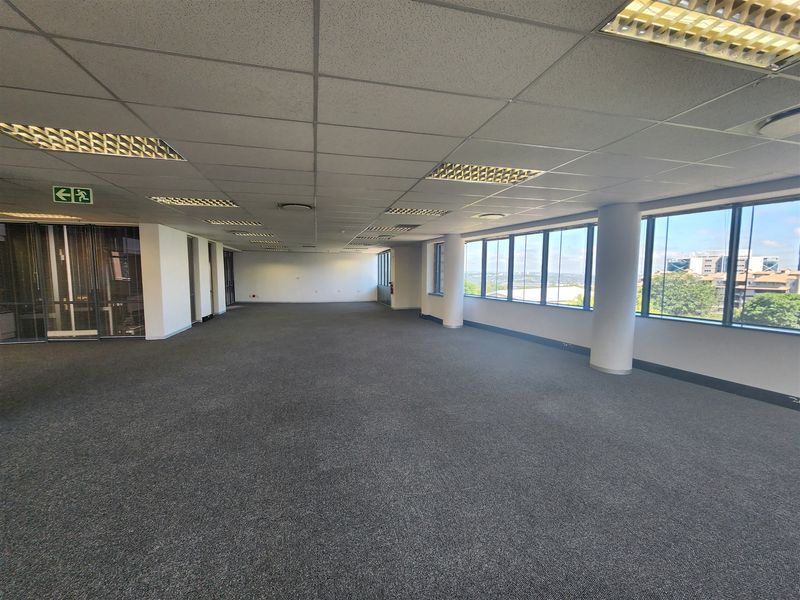 A spacious, open-plan office area featuring large windows with natural light, carpeted flooring, and a suspended ceiling with integrated lighting.