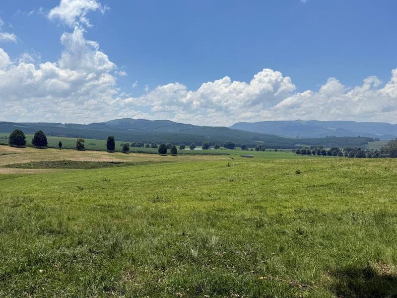 20ha Timber Farm in Karkloof with Valley and Farmland Views - Photo 9