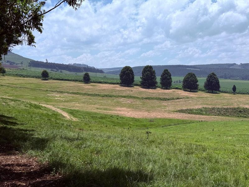 20ha Timber Farm in Karkloof with Valley and Farmland Views - Photo 8