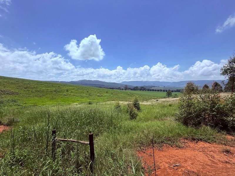 20ha Timber Farm in Karkloof with Valley and Farmland Views - Photo 7