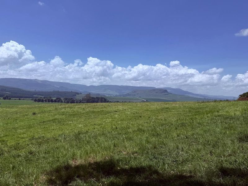 20ha Timber Farm in Karkloof with Valley and Farmland Views - Photo 6