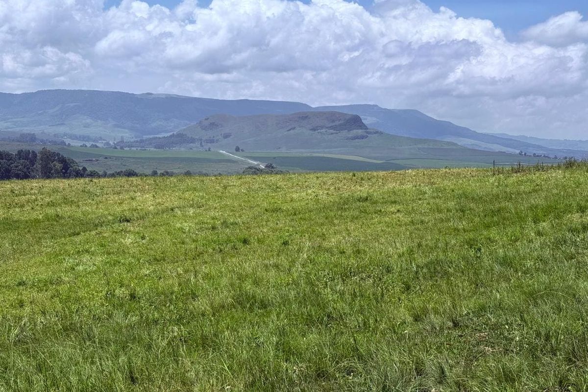 20ha Timber Farm in Karkloof with Valley and Farmland Views - Photo 3
