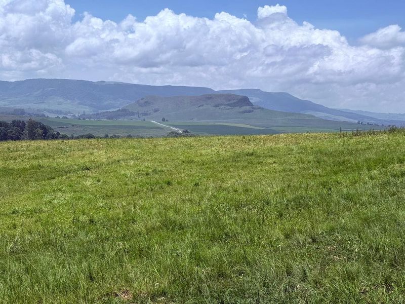 20ha Timber Farm in Karkloof with Valley and Farmland Views - Photo 3