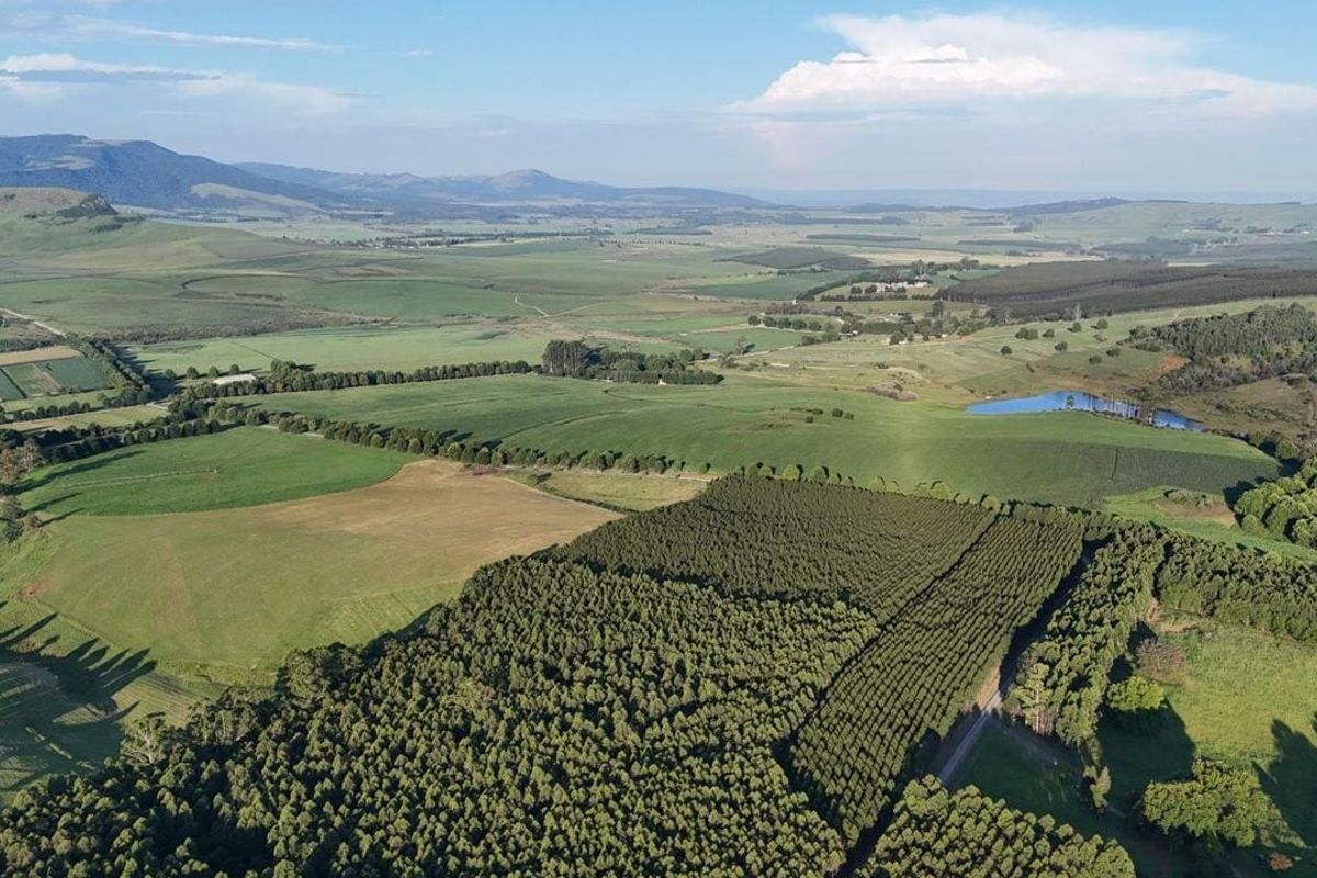 20ha Timber Farm in Karkloof with Valley and Farmland Views - Photo 2