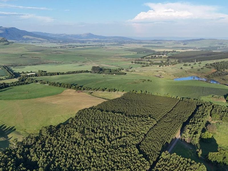 20ha Timber Farm in Karkloof with Valley and Farmland Views - Photo 2