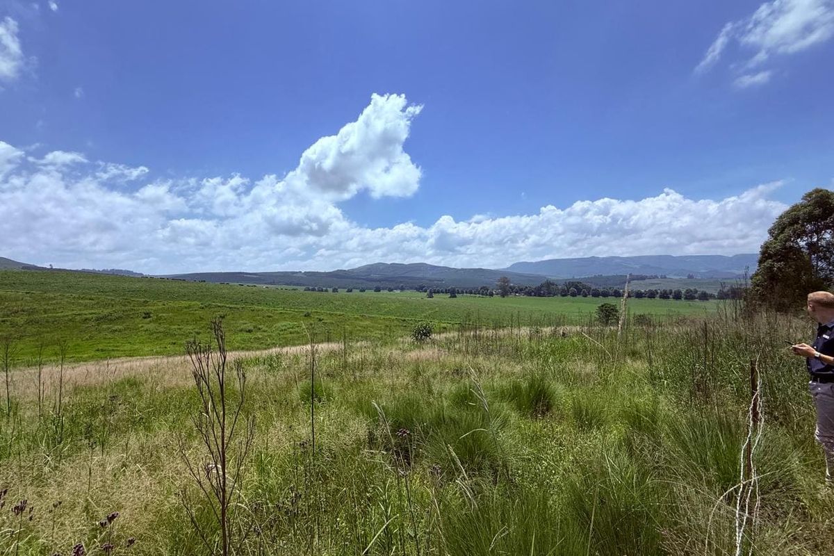 20ha Timber Farm in Karkloof with Valley and Farmland Views - Photo 4