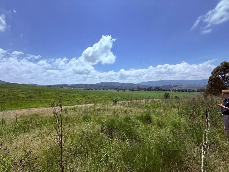 20ha Timber Farm in Karkloof with Valley and Farmland Views - Photo 4